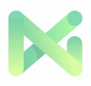 NMI logo